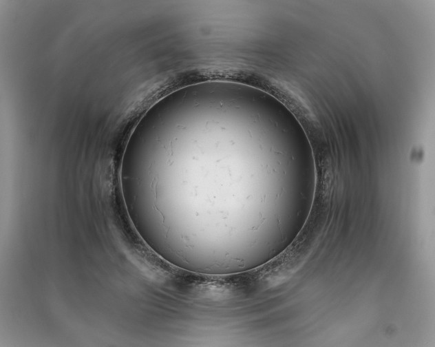 X0000091080498200708131300