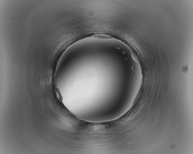 X0000091080501200708131300