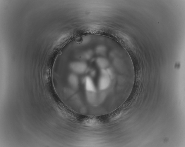 X0000091080503200708131300