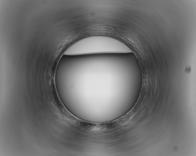 X0000091080504200708131300