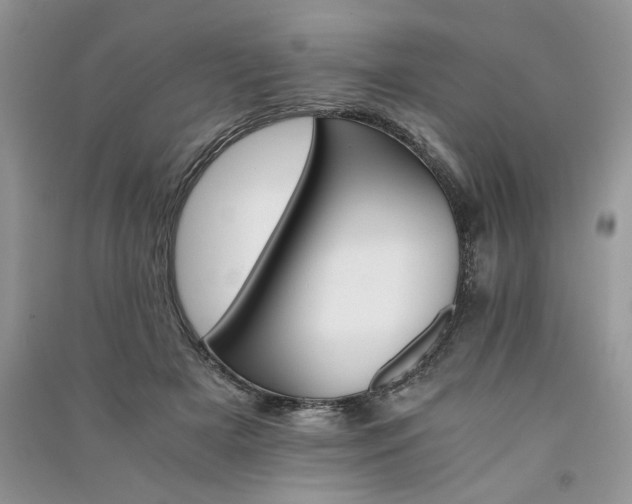 X0000091080505200708131300