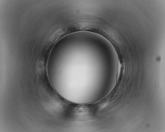 X0000091080506200708131300