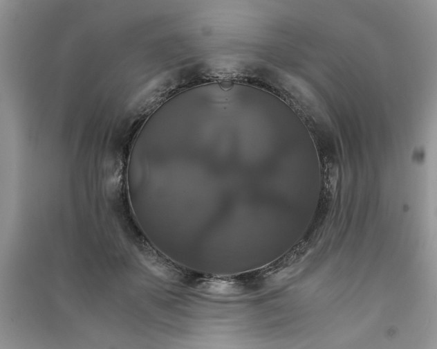 X0000091080507200708131300