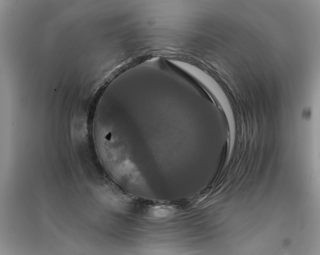 X0000091080508200708131300