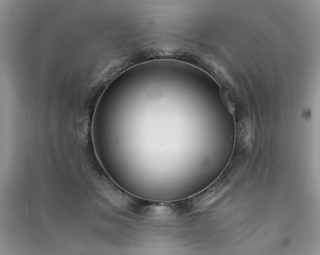 X0000091080509200708131300