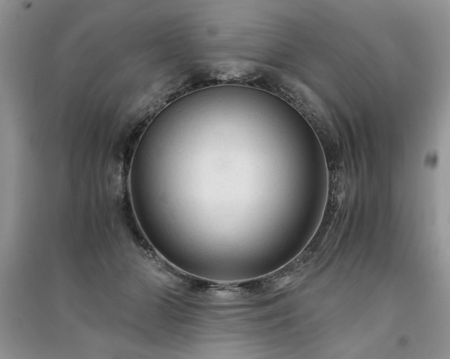 X0000091080510200708131300