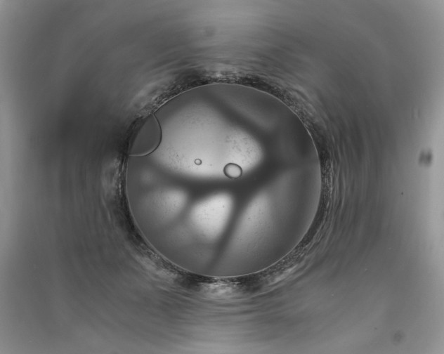 X0000091080511200708131300