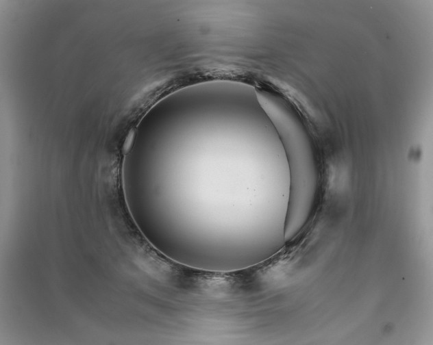 X0000091080513200708131300