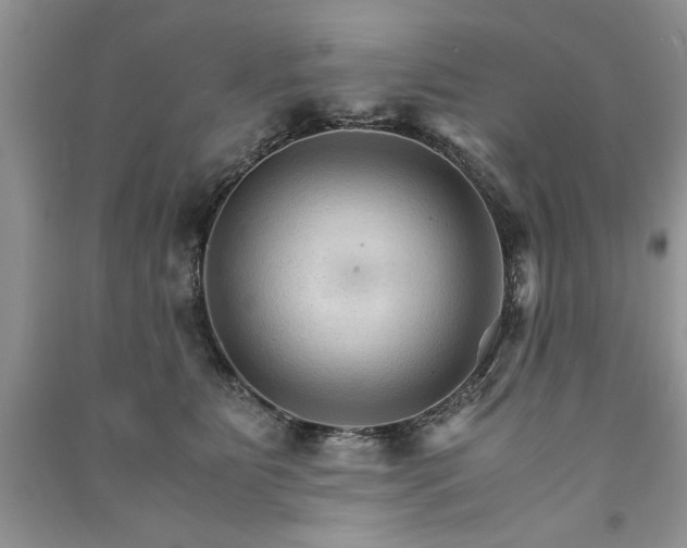 X0000091080515200708131300