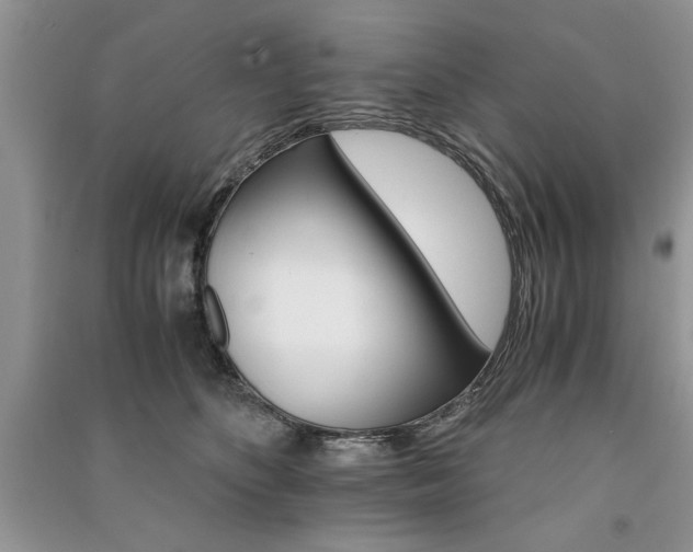 X0000091080516200708131300