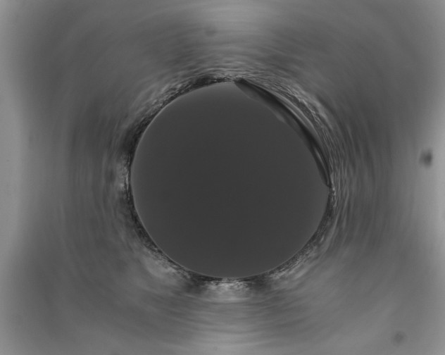 X0000091080517200708131300