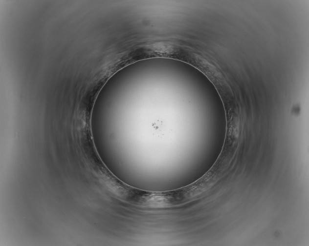 X0000091080518200708131300