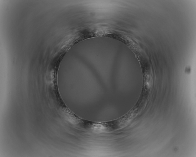 X0000091080519200708131300