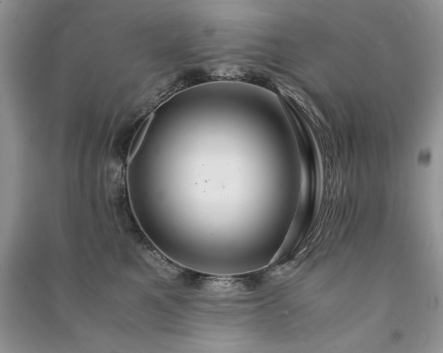 X0000091080521200708131259