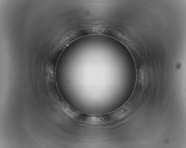 X0000091080522200708131259