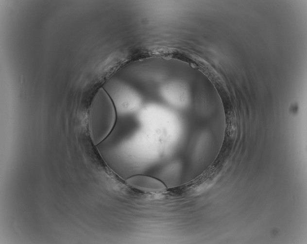 X0000091080523200708131259