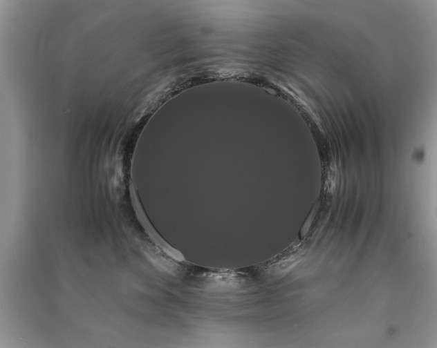 X0000091080524200708131259