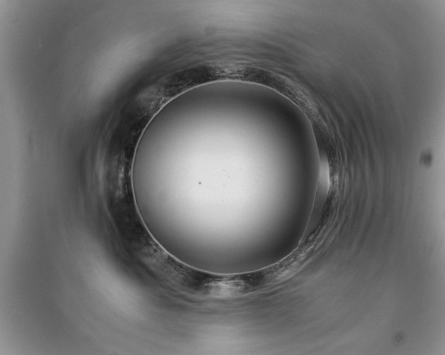 X0000091080525200708131259