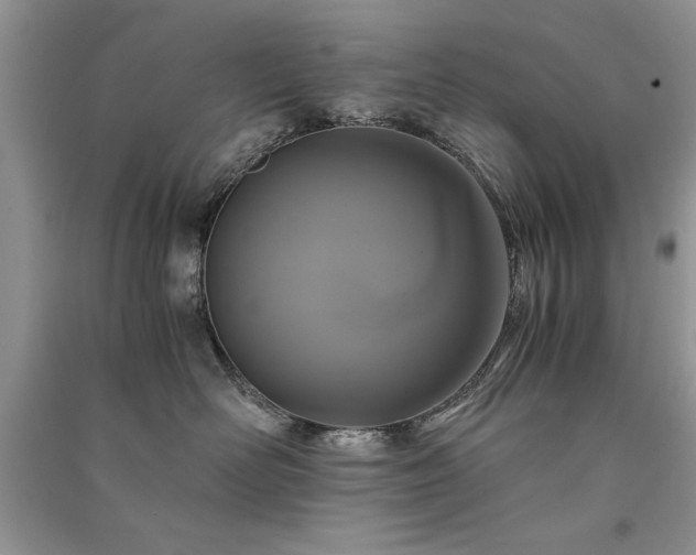 X0000091080526200708131259