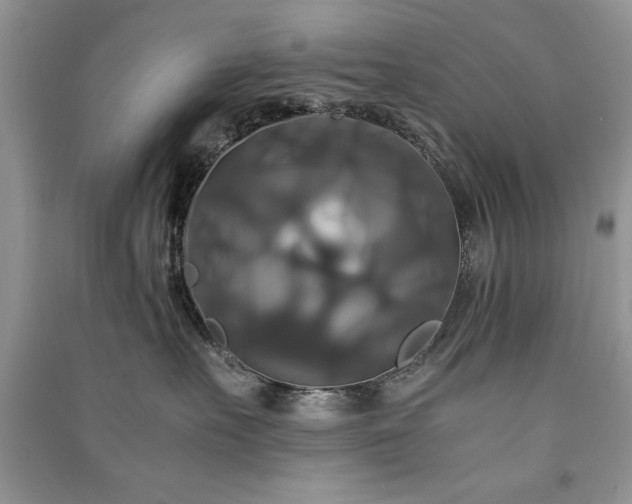 X0000091080527200708131259