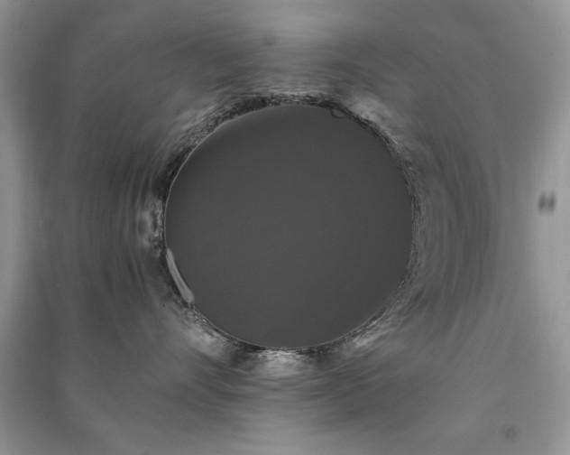 X0000091080528200708131259