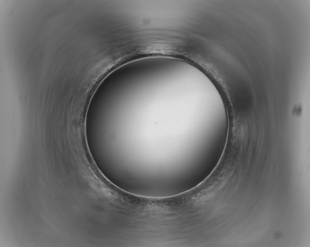 X0000091080529200708131258