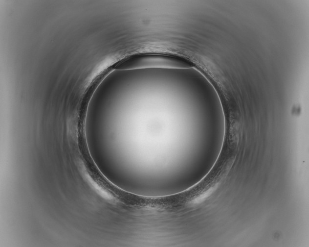 X0000091080530200708131258