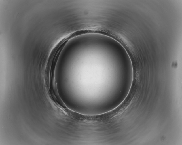 X0000091080532200708131259