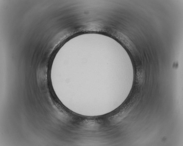 X0000091080534200708131259