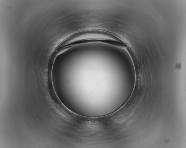 X0000091080535200708131259