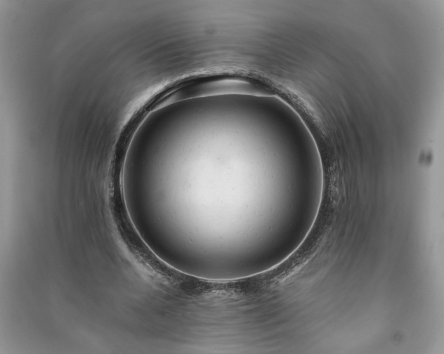 X0000091080536200708131259