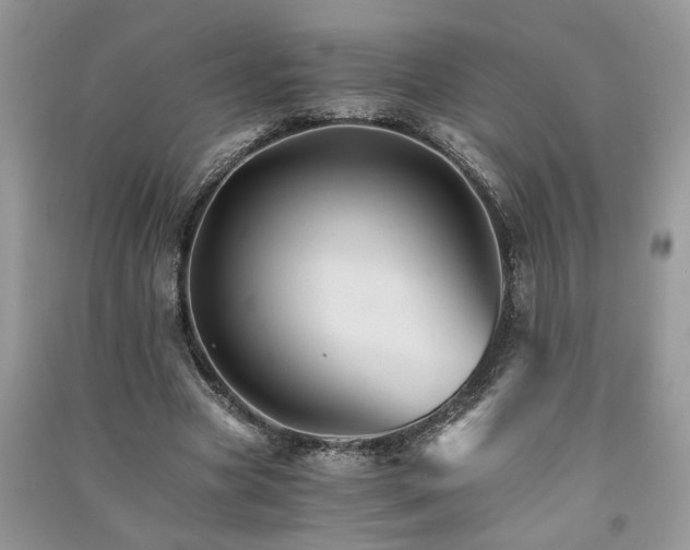 X0000091080537200708131259