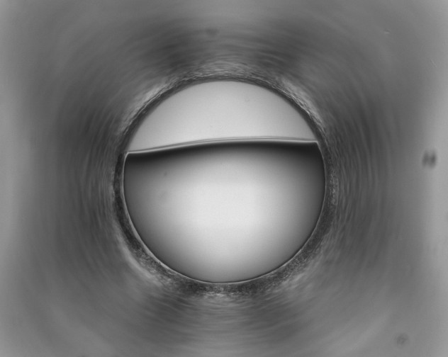 X0000091080538200708131259