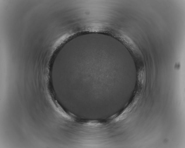 X0000091080540200708131259