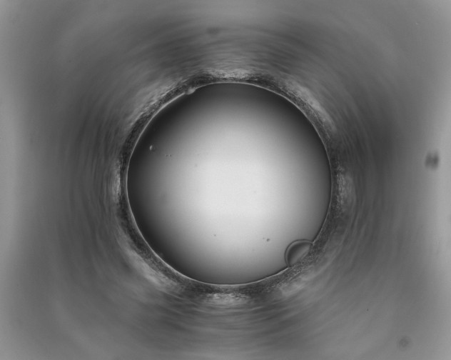 X0000091080541200708131259