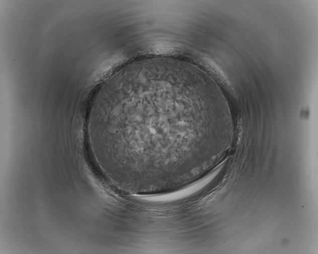 X0000091080542200708131259