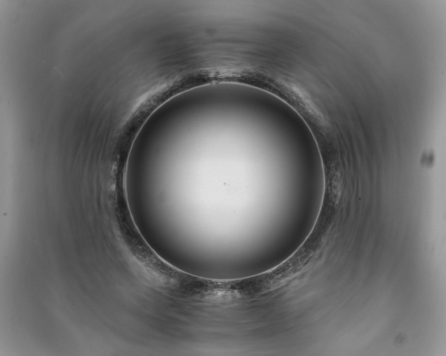 X0000091080543200708131259