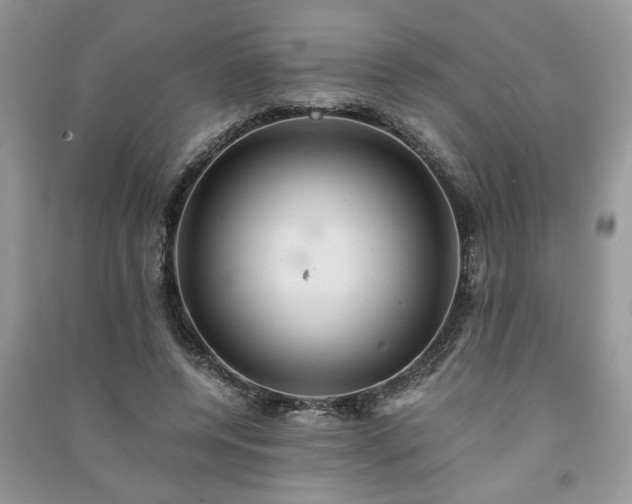 X0000091080544200708131259