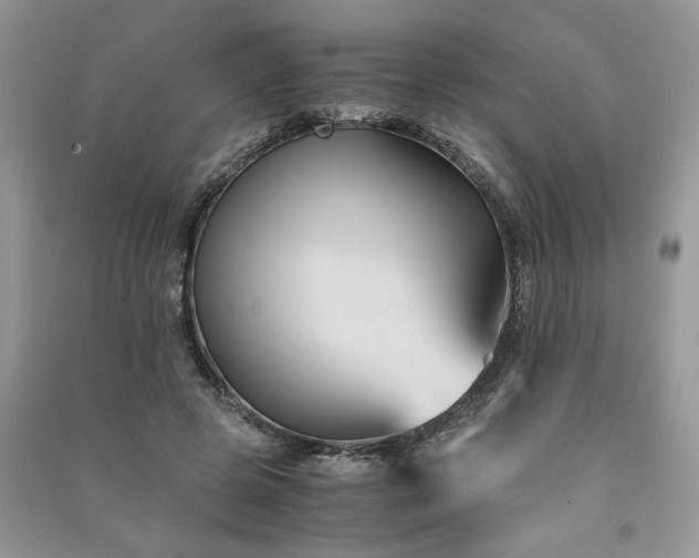 X0000091080545200708131259