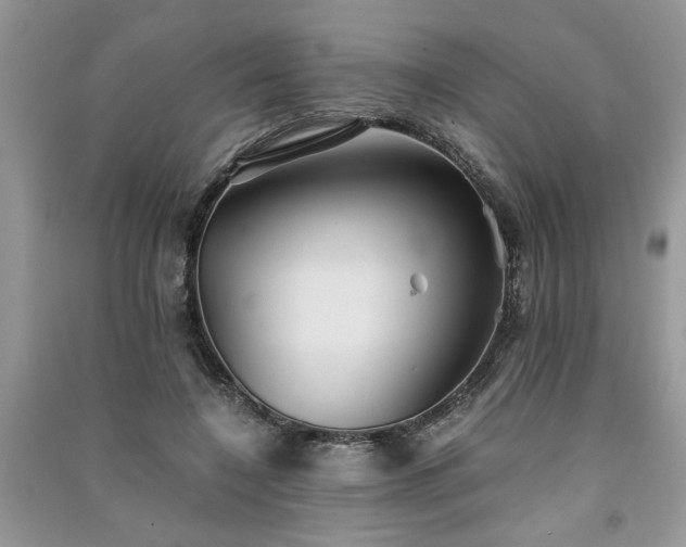 X0000091080548200708131259