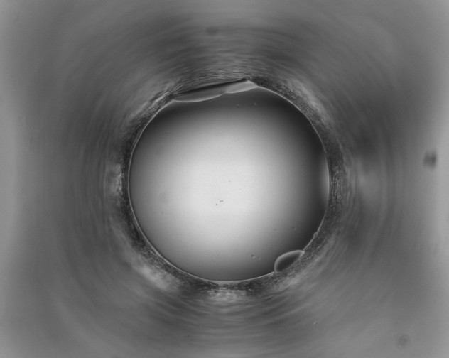 X0000091080549200708131259