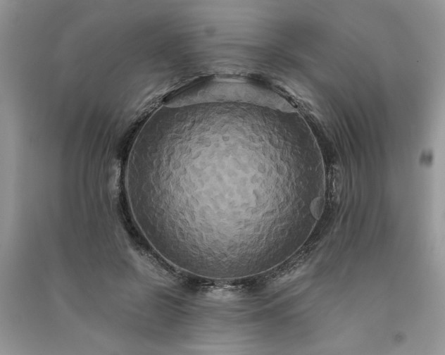 X0000091080550200708131259