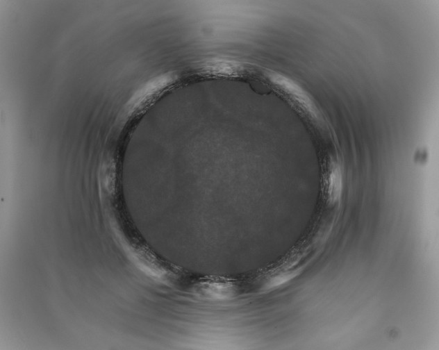 X0000091080552200708131259