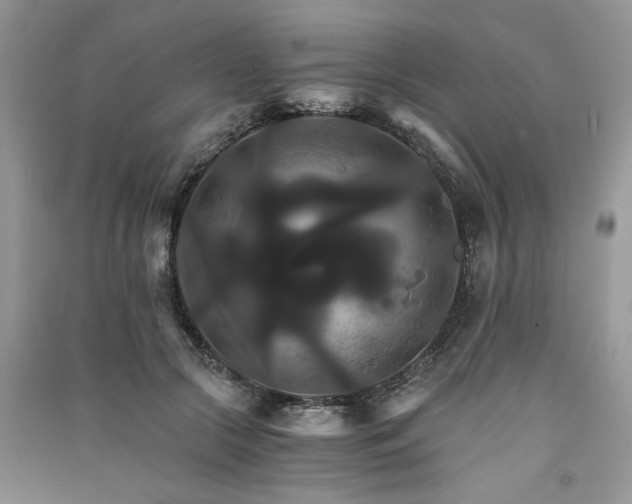 X0000091080553200708131259