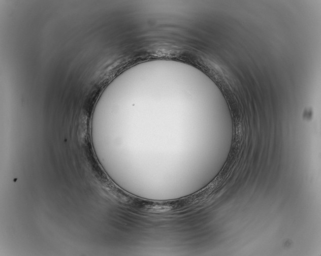 X0000091080554200708131259