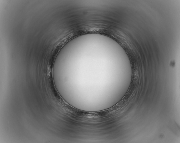 X0000091080555200708131259