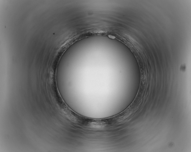 X0000091080556200708131259