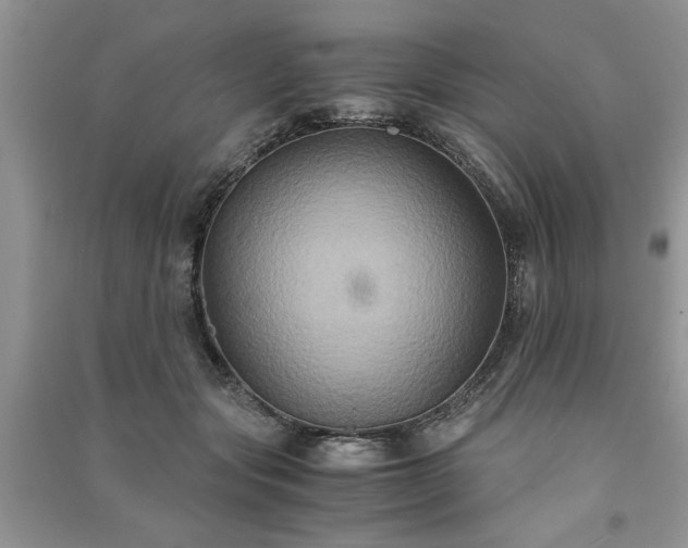 X0000091080557200708131259