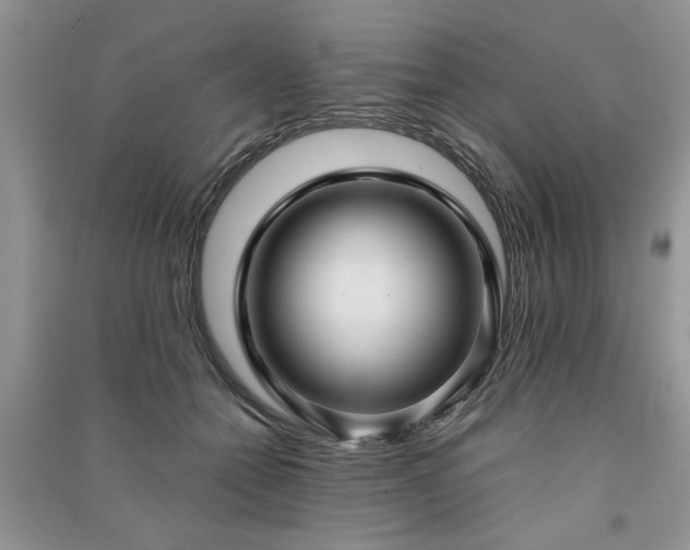 X0000091080558200708131259