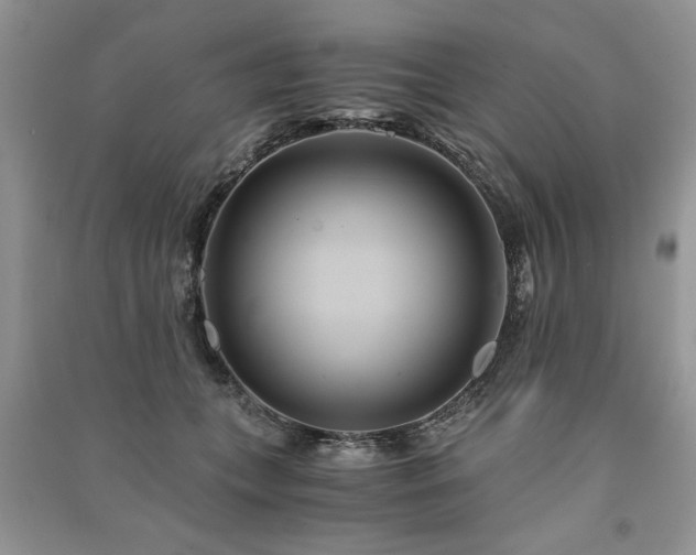 X0000091080559200708131259